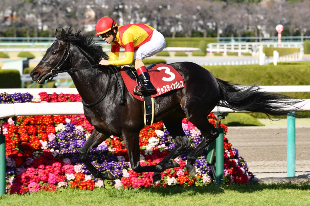 阪神大賞典,駿天宮再登頂峰
