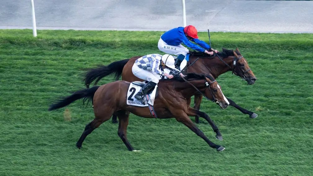 杜拜世界盃賽馬日大戰前線，波爾明找到長途新出路，取勝秘技找到肯塔基打吡