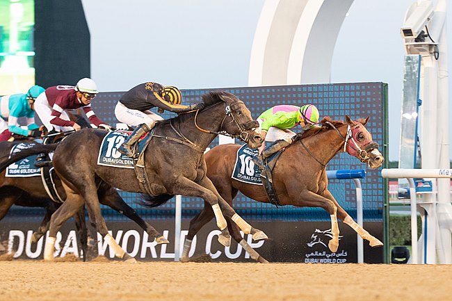 杜拜金莎軒錦標,交響大師內側奇兵突出