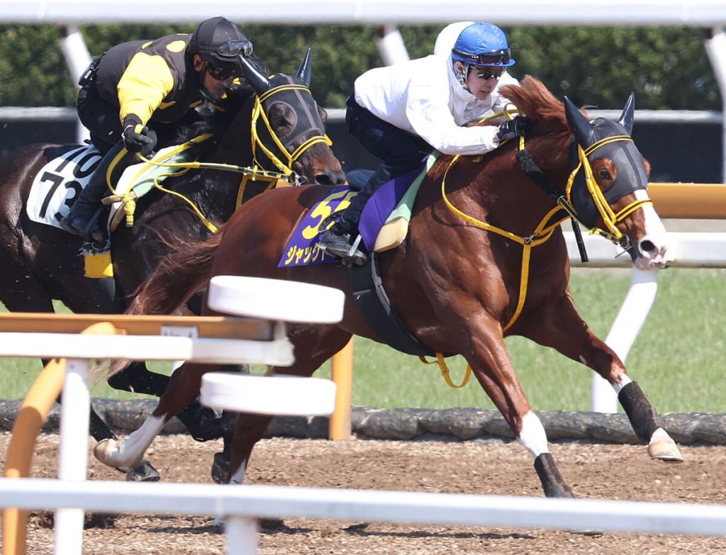 2023年4月2日賽馬日(10場田草、A+3跑道)+大阪盃賽事精選