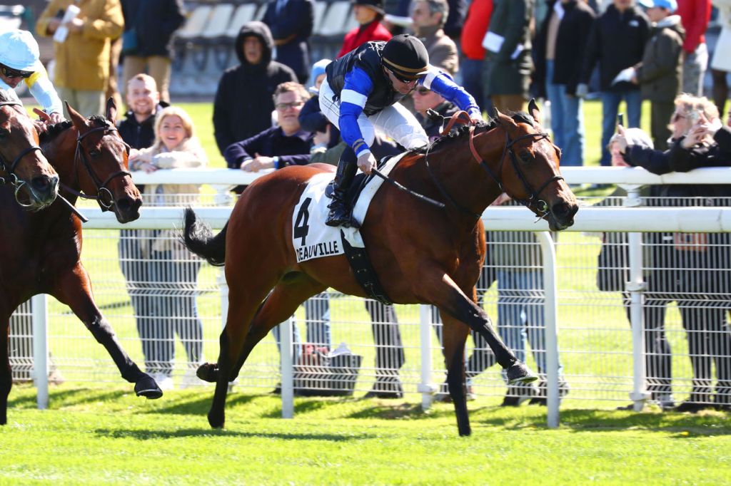 每日賽馬晚報（2023年4月7日），Swettenham Stud公佈種費，法國高山錦標及不羈名駒均爆大冷