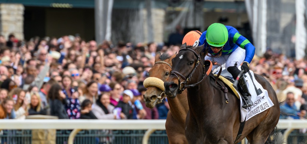 每日賽馬晚報（2023年4月10日），陳俊揪及勞景暘連線贏馬、育馬者盃冠軍Goodnight Olive及Caravel復出報捷