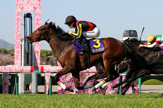 櫻花賞，Liberty Island迫著留後跑也沒關係