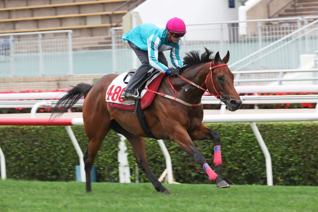 每日賽馬晚報（2023年4月11日），浪漫勇士潘頓正式接手，蔚藍海角子嗣初勝利