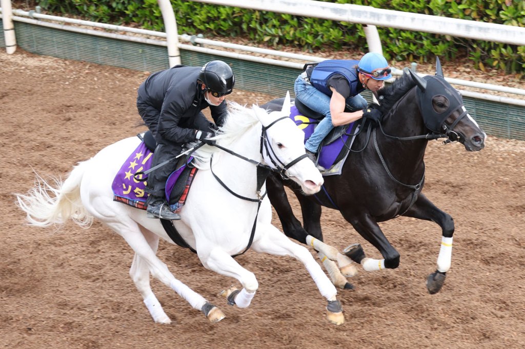 每日賽馬晚報（2023年4月12日），Betfred冠名贊助葉森打吡橡樹，夜神飛驥與純淨之輝拍跳