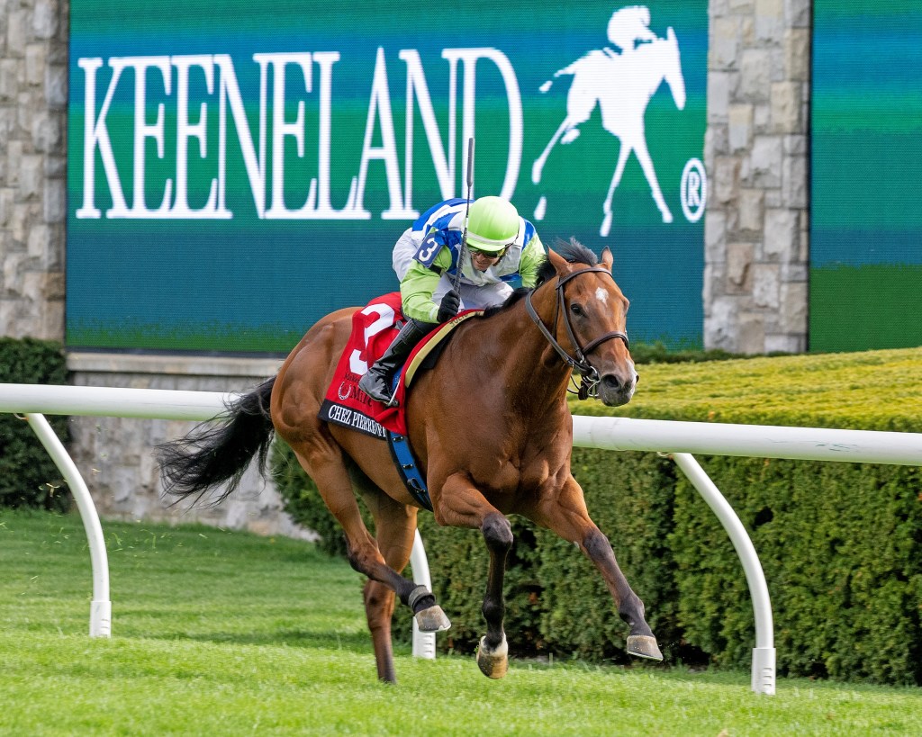 每日賽馬晚報（2023年4月15日），現代遊戲復出戰被擊敗，登天橋奪首屆Quokka錦標