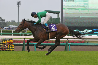 中山障礙大賽，九州英雄巧奪芳心奪大賽