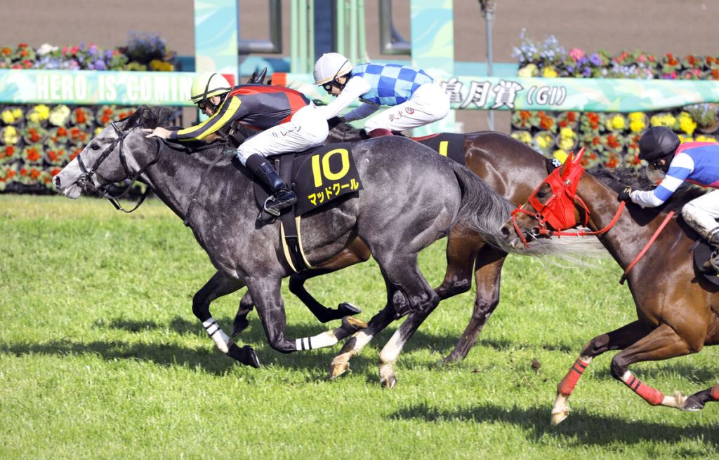 冷門馬製造機器消暑樂祭