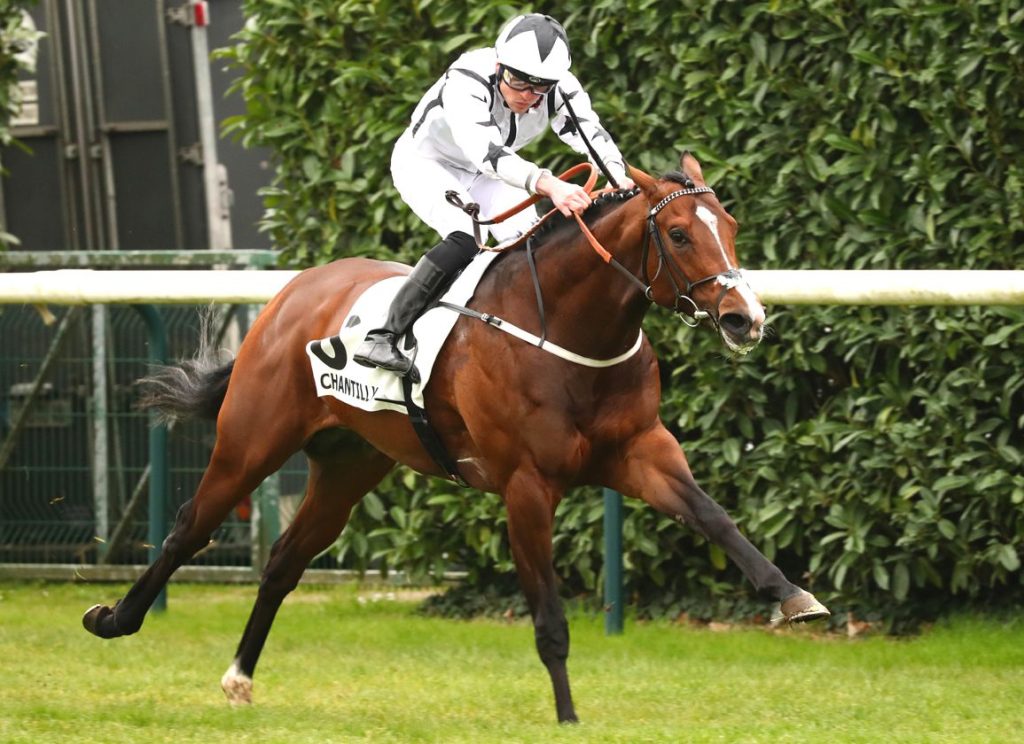 每日賽馬晚報（2023年4月18日），愛禮物種費已定，新市場卡拉芬賽馬節迎來戴圖理