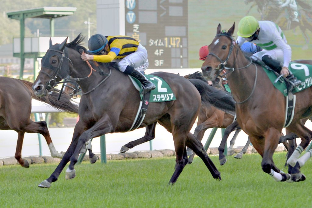 福島牝馬錦標，如星繁花半信半疑下久休復活