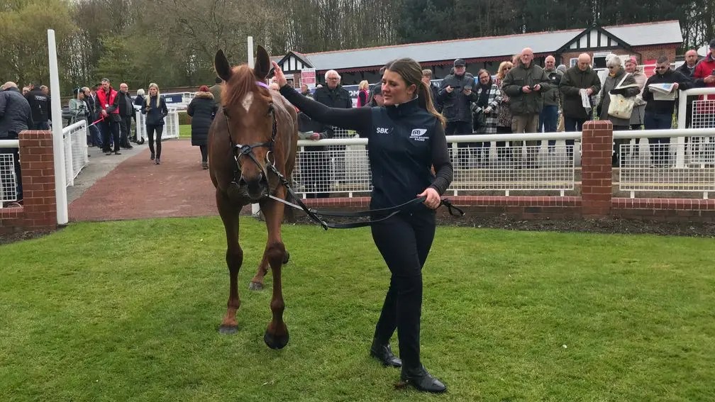 每日賽馬晚報(2023年4月25日),純淨之輝推出第二本寫真集,陳年美酒往巴西做種馬