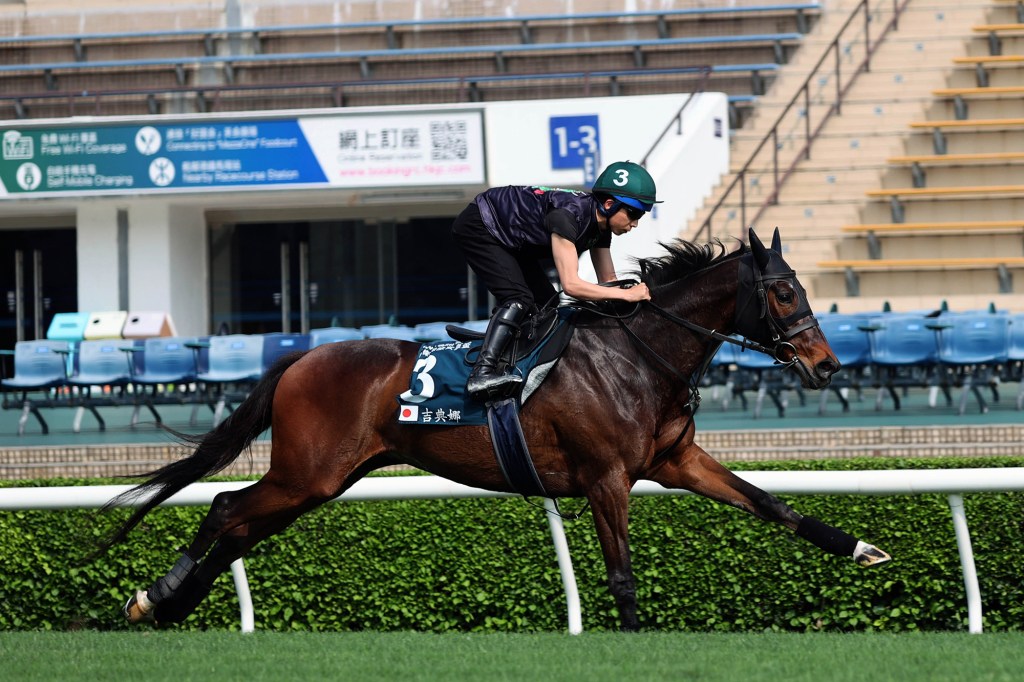 2023年4月30日賽馬日（10場田草、A跑道）+香港冠軍賽馬日特集