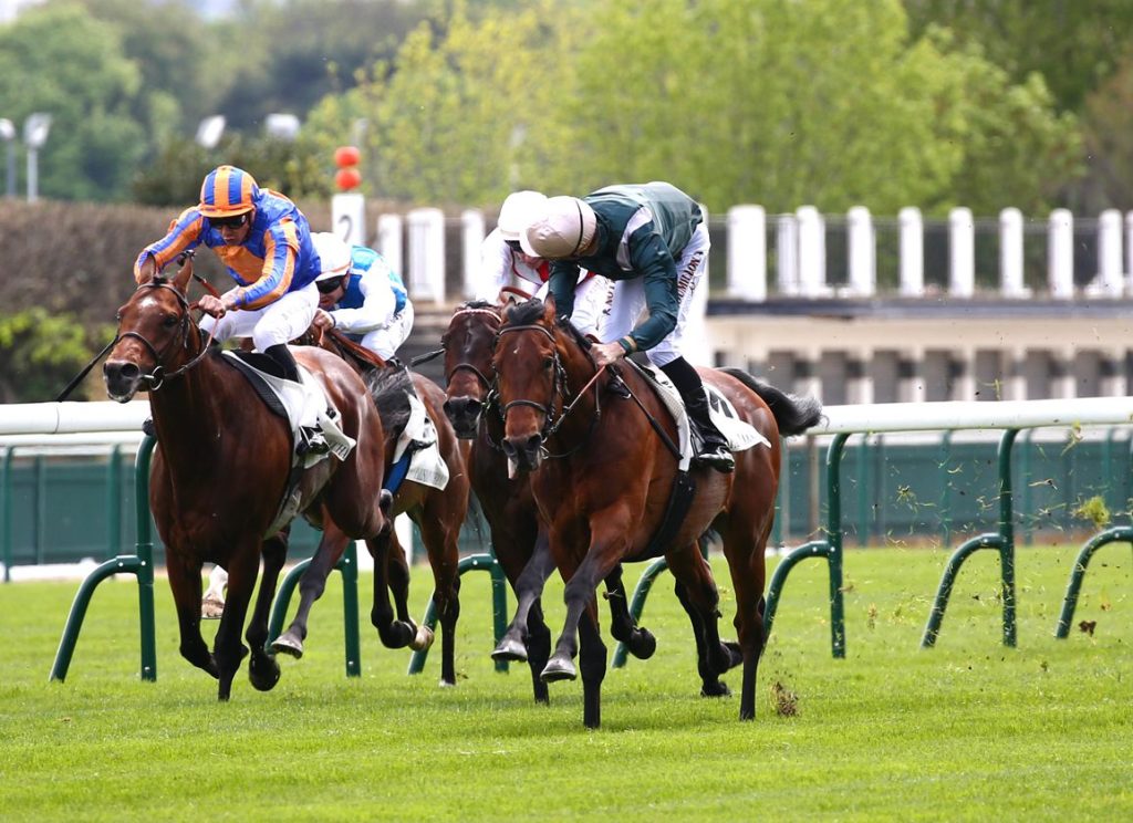 兩大法國惡馬迎戰法國打吡群雄