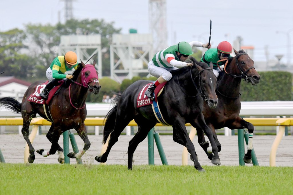 青葉賞，Skilfing有望突圍打吡夢