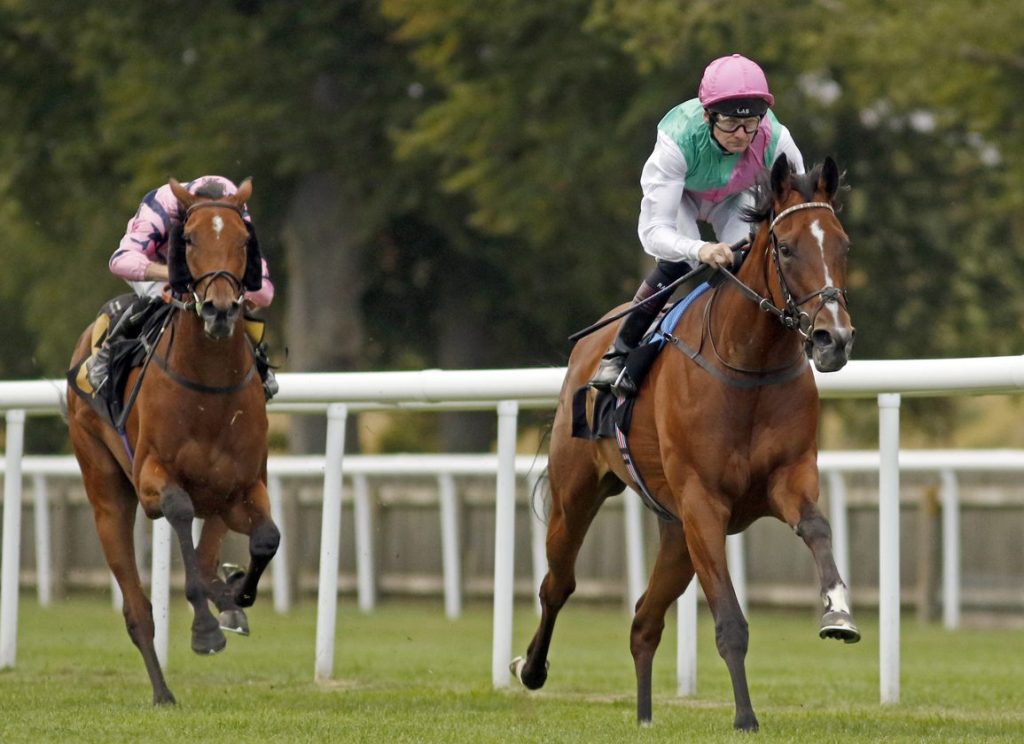 樂景傑錦標神秘戰力，僅跑四次的桂葉冠