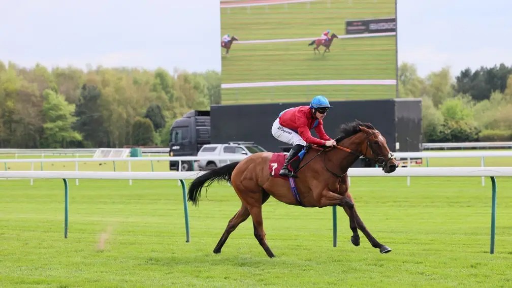 每日賽馬晚報(2023年5月1日),千秋巨子種費另議,四匹新種馬子嗣取下初勝