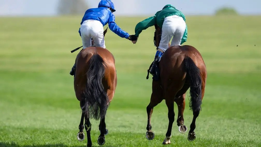 一千堅尼錦標,望潮與莫艾誠合作下發揮光環威力