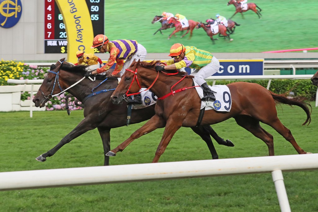 皇太后紀念盃，直線力山保持氣勢繼續上