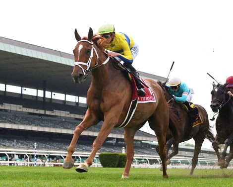 每日賽馬晚報（2023年5月14日），月飛焰取得墨爾本盃優先出賽資格，偉倫角實力不如九歲老馬紅騎士