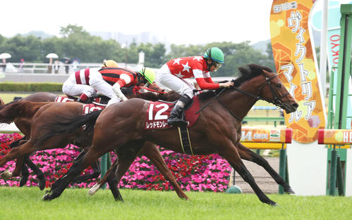 繼承藤澤和雄志願赤夢