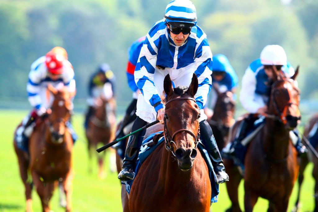 多位新面孔騎師準備在日本客串