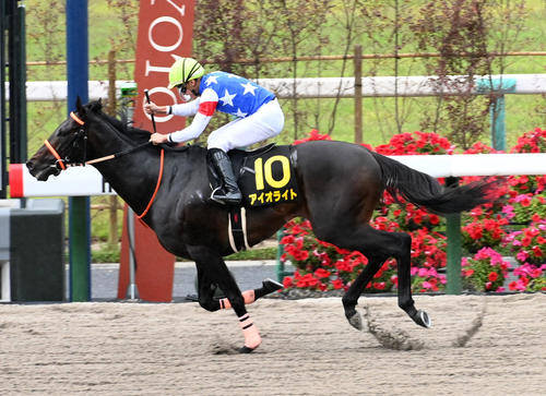 每日賽馬晚報（2023年5月15日），大賽報名馬如雲，聖駒跑膠沙地照贏三級賽