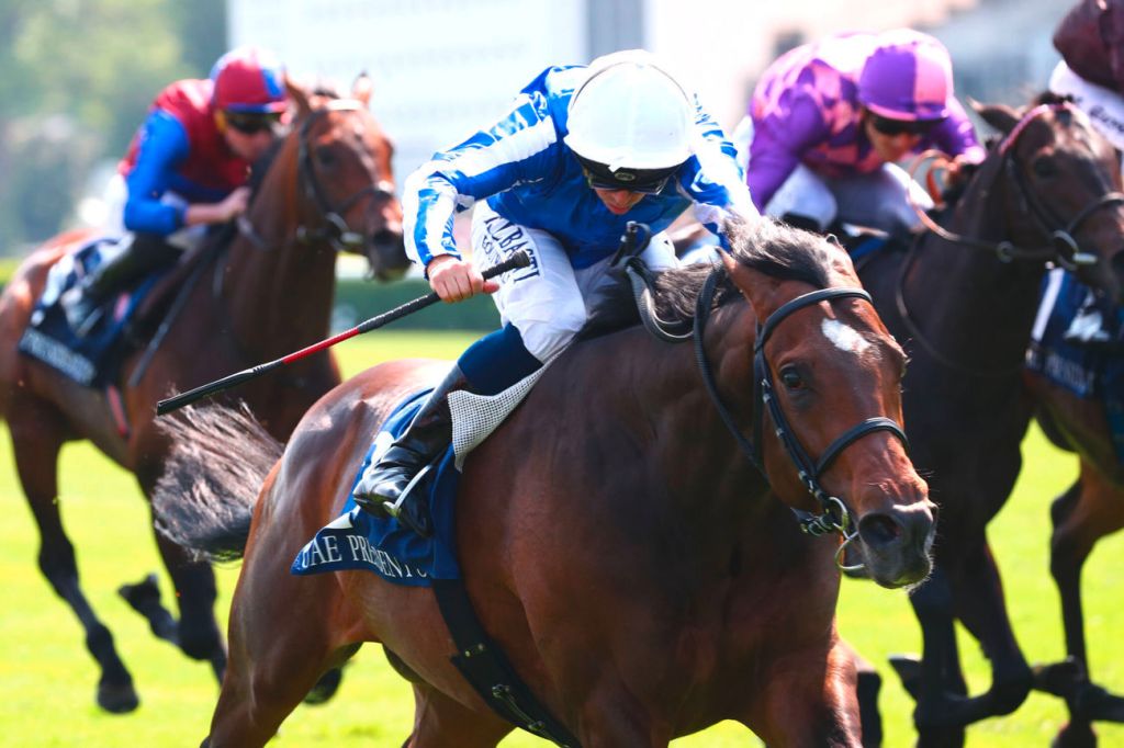 道安問侯可否再乘勝追擊？