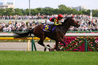 自由島改戰香港盃
