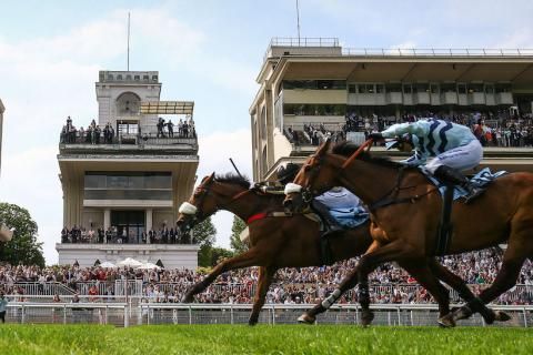 每日賽馬晚報（2023年5月22日），Forte有望在貝蒙錦標上陣，Rosario Baron勇奪巴黎障礙大賽