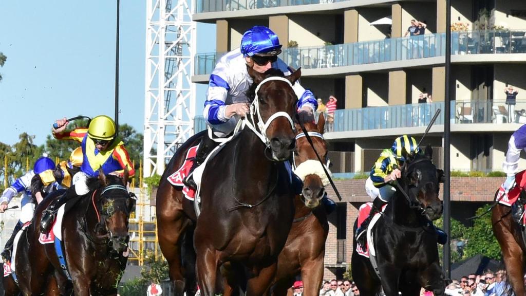 昆士蘭打吡，Kovalica輕鬆大勝