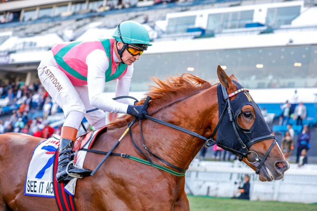 2024年6月8日賽馬日（10場田草、C跑道）+金挑戰大賽簡易推介