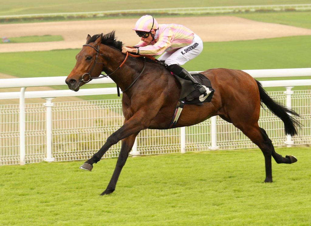 聖詹姆士神秘不敗之師辯才