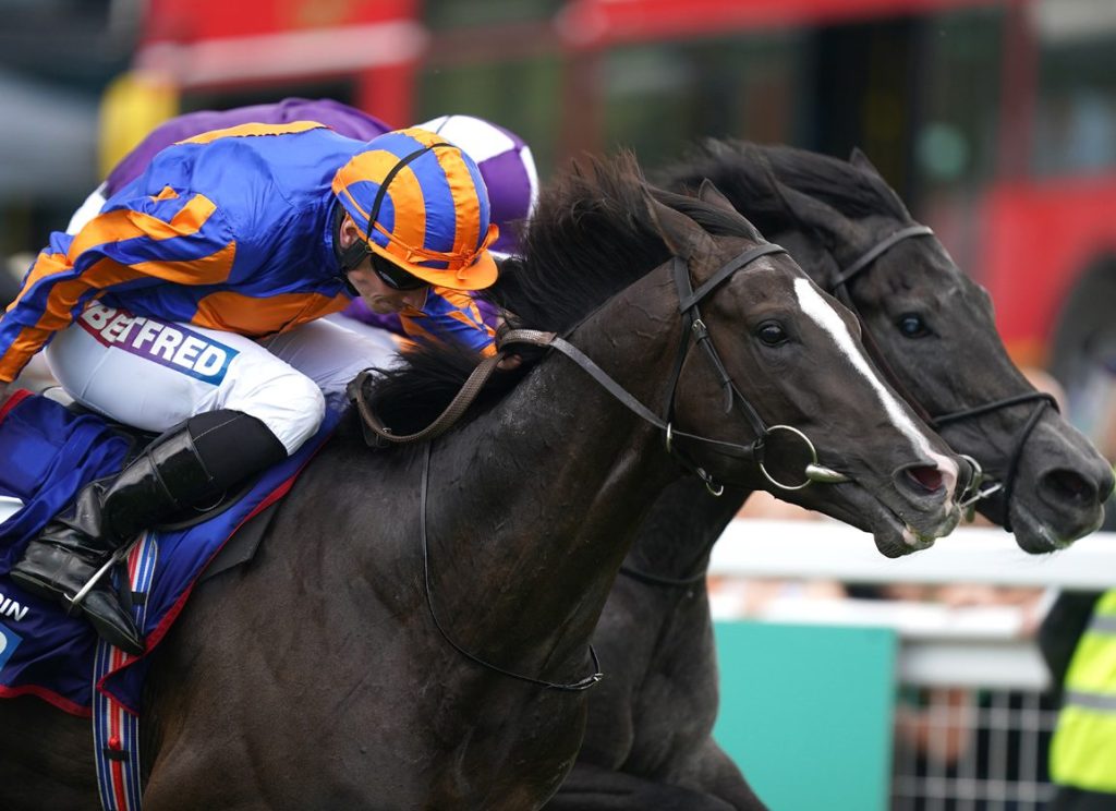 四子掩護多產巨匠，岳伯仁愛爾蘭打吡保衛戰