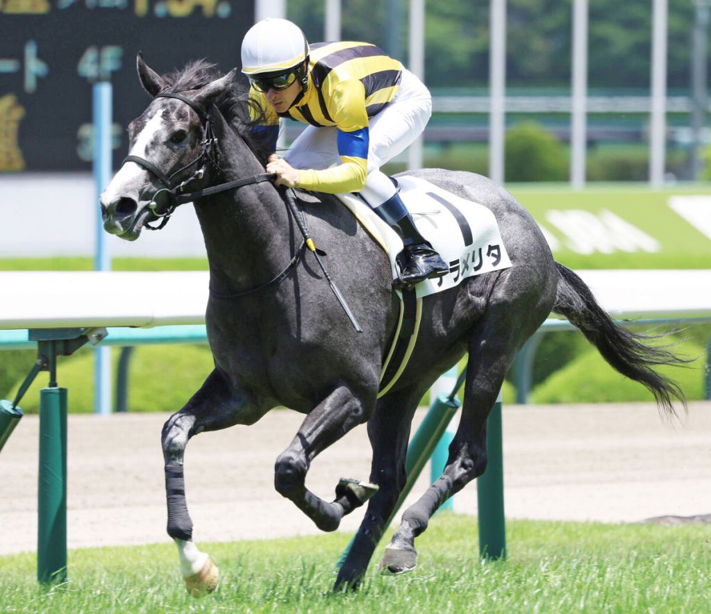 每日賽馬晚報（2023年6月3日），邱吉爾園賽事改在艾利斯園舉行，Bricks And Mortar子嗣取下首勝