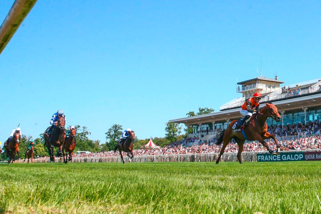 每日賽馬晚報（2023年6月29日），🇮🇪蹄起勁以馬頓錦標為大目標，🇫🇷頂級衝力已被購入種馬杯權利