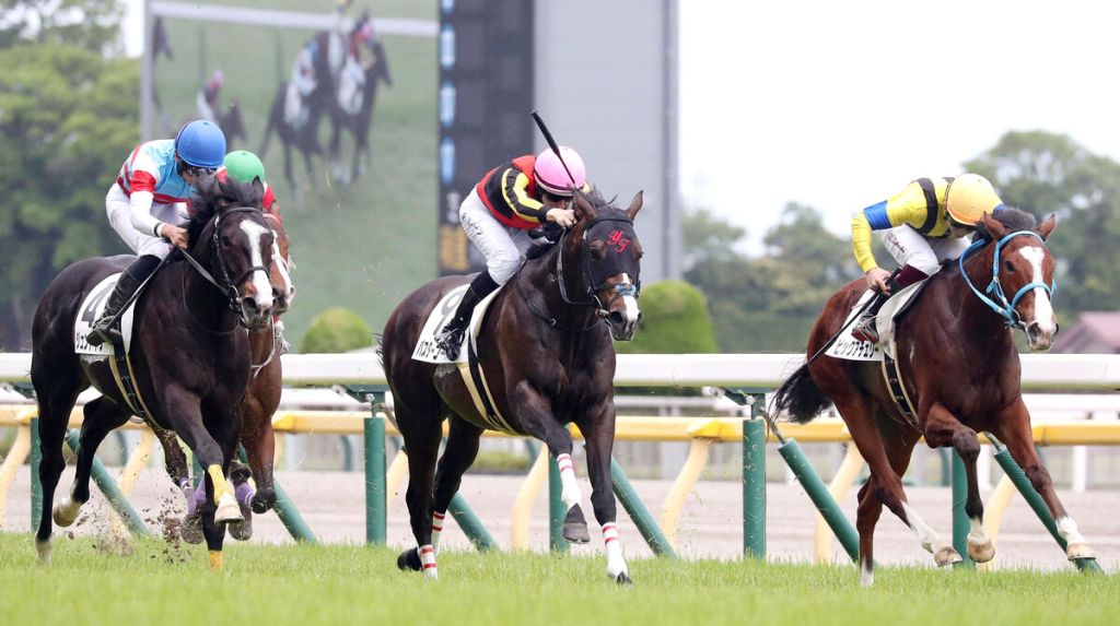 每日賽馬晚報(2023年6月5日),莫雅有機會重新接手福逸,黃昏賽投注額降但轉播賽才是重災區