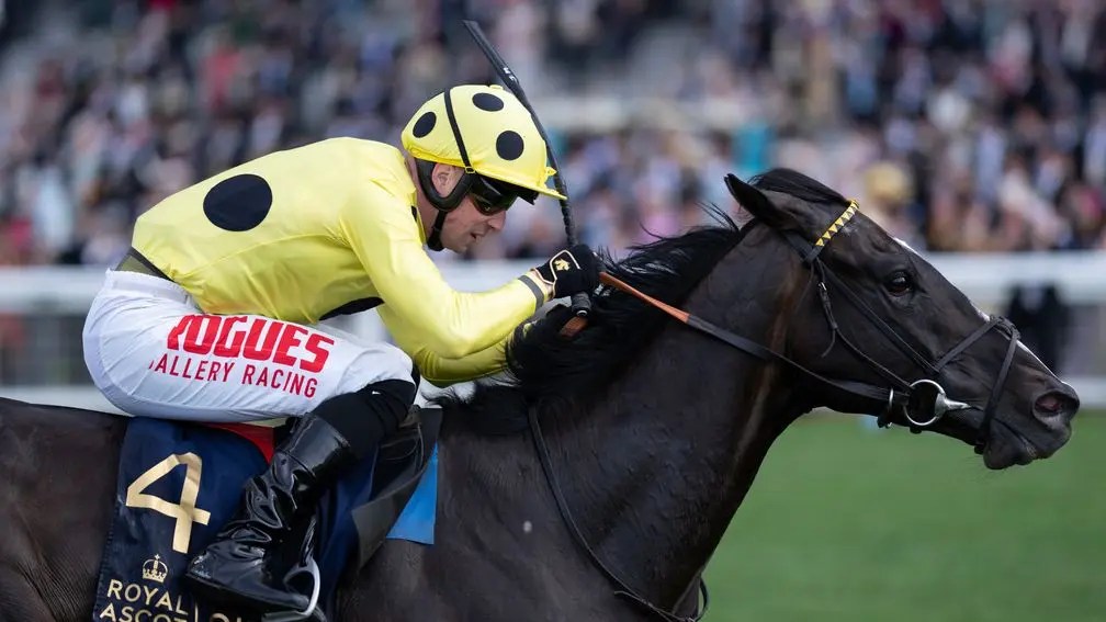 每日賽馬晚報（2025年1月1日），🇺🇸Barnes週六再度上陣，🇬🇧御冠軍返回英國立即贏馬