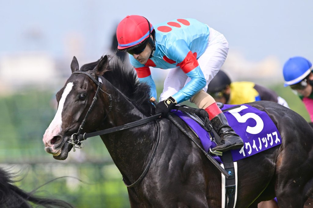 寶塚紀念賽，春秋分大讓賽都照贏