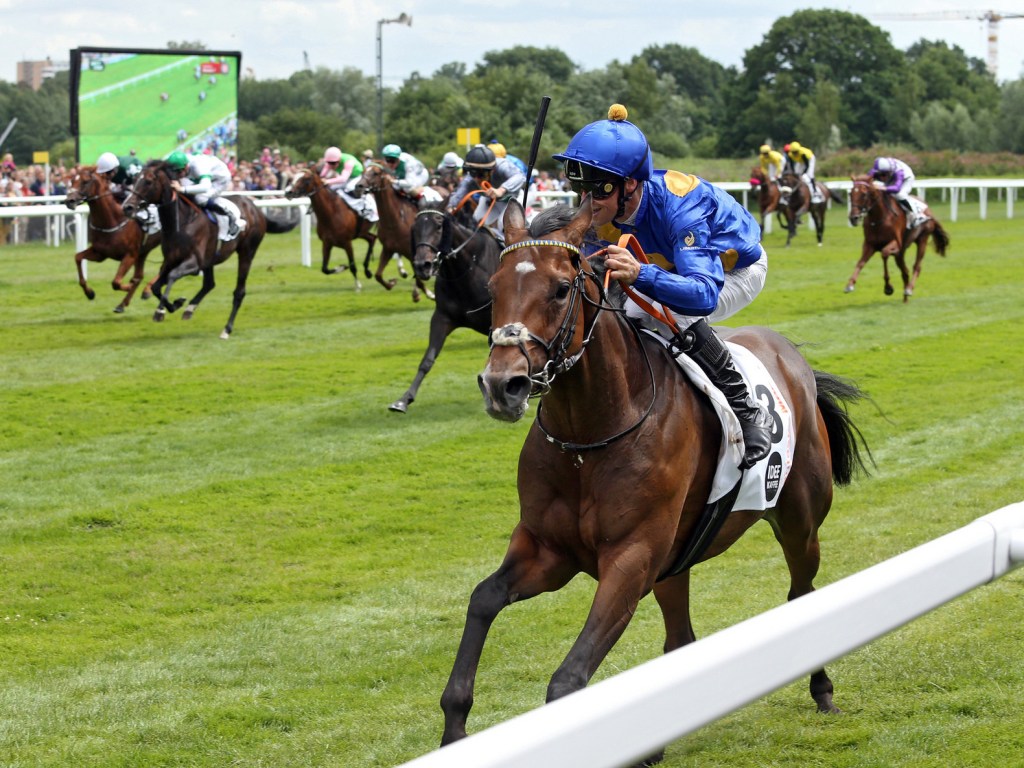 每日賽馬晚報（2023年9月27日），🇯🇵領銜以日本盃為目標，🇫🇷凱旋門大賽兩補充報名馬現身