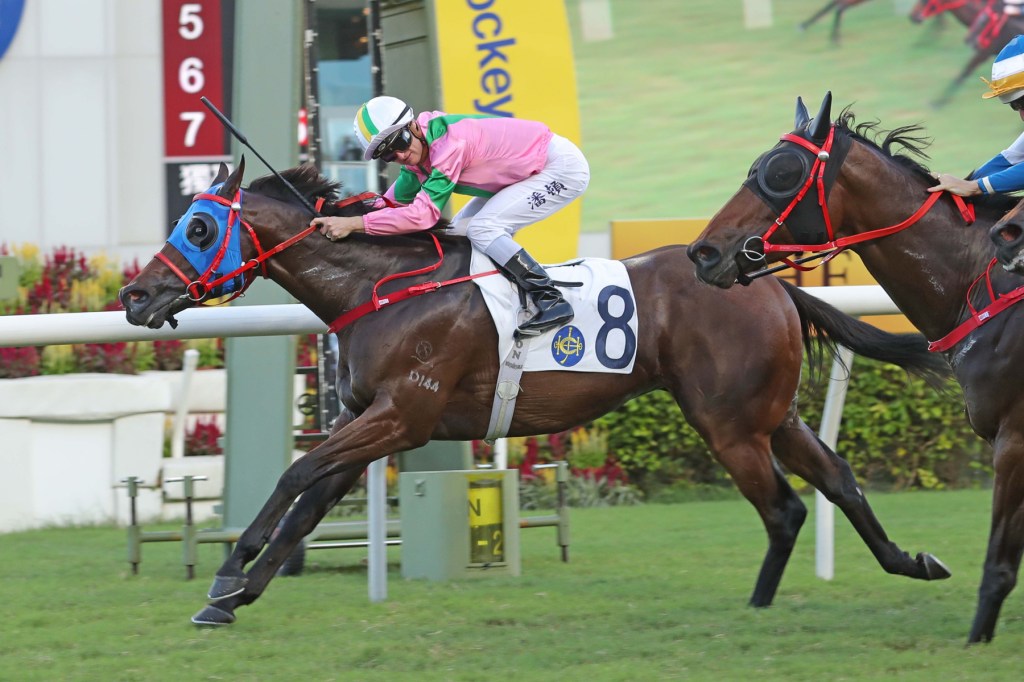 每日賽馬晚報（2023年7月9日），🇬🇧上流貴婦信心爆棚挑戰英皇錦標，🇺🇸Verifying及Reincarnate贏美國地方打吡，🇭🇰潘頓正式破莫雷拉舊紀錄