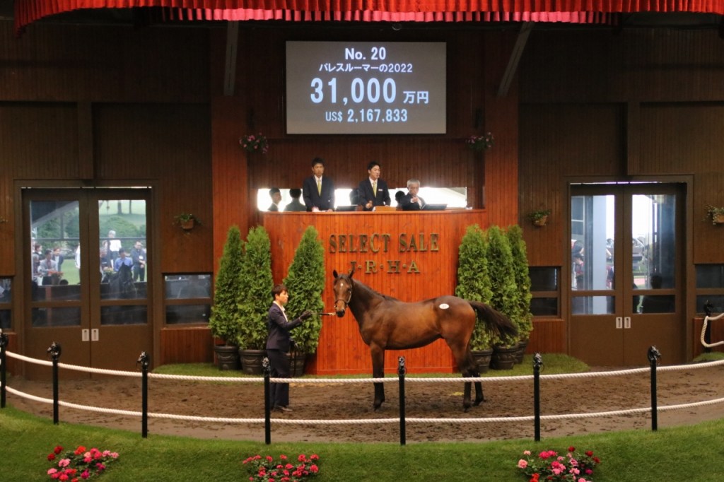 日本精選拍賣會周歲精選，北部玄駒子嗣獲一線級價錢，三大買家重家花超過10億日圓