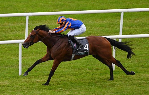 每日賽馬晚報（2025年2月26日），🇬🇧葉森打吡公佈報名馬匹，🇮🇪🇦🇺蜚聲詩界前往澳洲做穿梭種馬