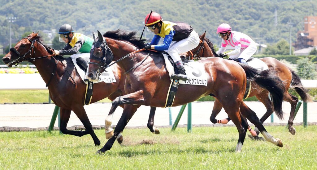 每日賽馬晚報（2023年7月24日），🇭🇰選舉影響國際賽料改期，🇺🇸Nest復活贏出二級賽，🇯🇵身價馬Invisible Self初出即勝