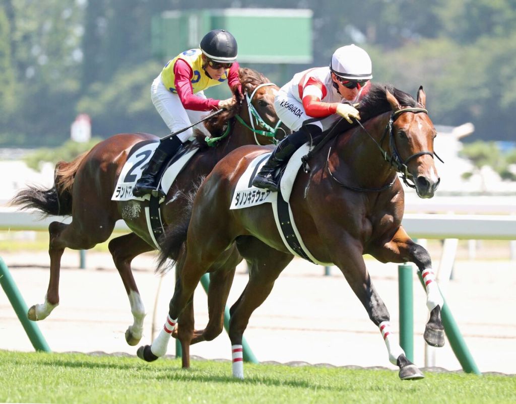 每日賽馬晚報（2023年7月29日），🇭🇰馬主團體成員可由非馬會會員組成，🇦🇺勞樑棟成悉尼冠軍見習騎師