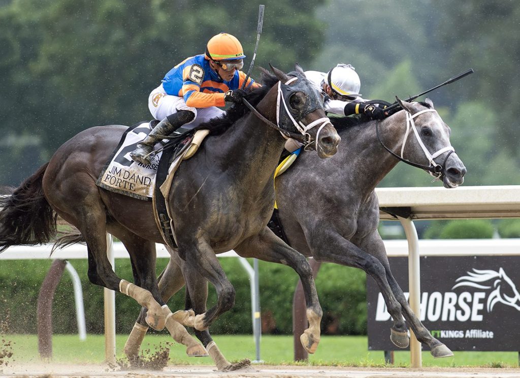 每日賽馬晚報（2023年10月20日），🇬🇧英國冠軍賽馬日正式在內彎舉行，🇺🇸Forte未能及時回復直接退役