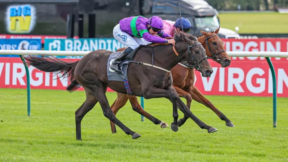 碉堡城能否成蘭秀錦標冷門