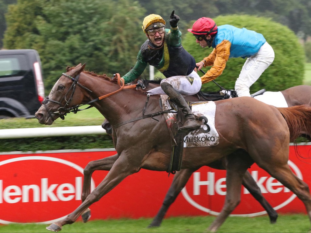 每日賽馬晚報（2023年8月7日），🇮🇪攻守有道週一決定墨爾本盃命運，🇩🇪千湖秀色贏出德國橡樹大賽