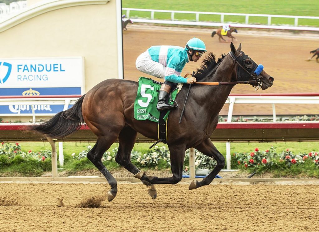 每日賽馬晚報（2023年8月15日），🇬🇧🇫🇷英勇部隊莫尼大賽挑戰古都名河，🇺🇸Prince of Monaco輕取德爾馬三級賽