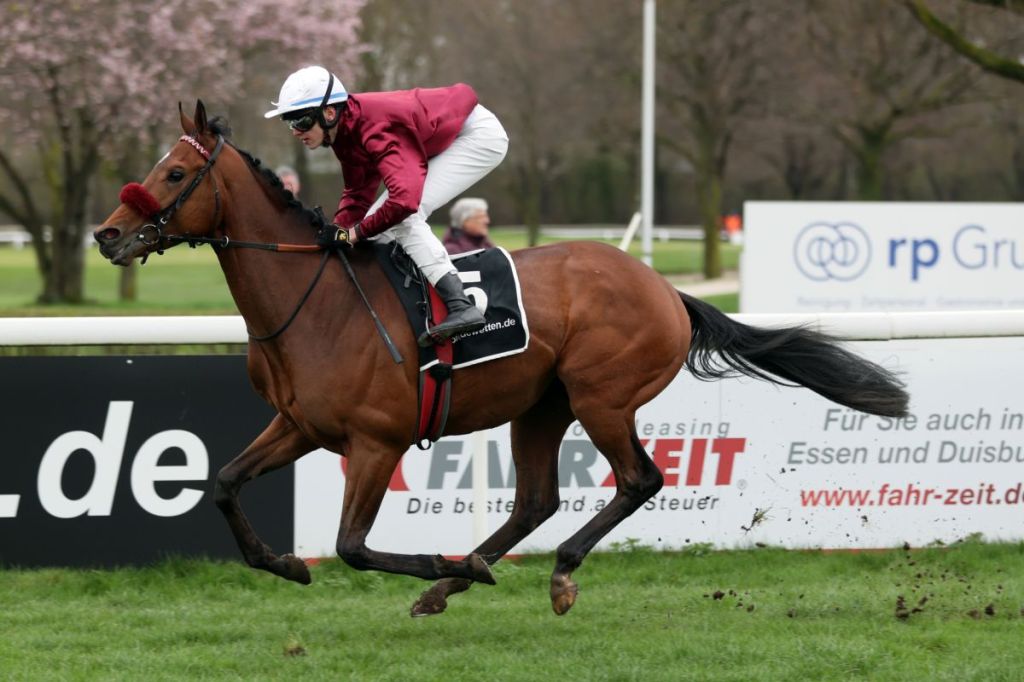 影城大亨如何面對年長馬挑戰？