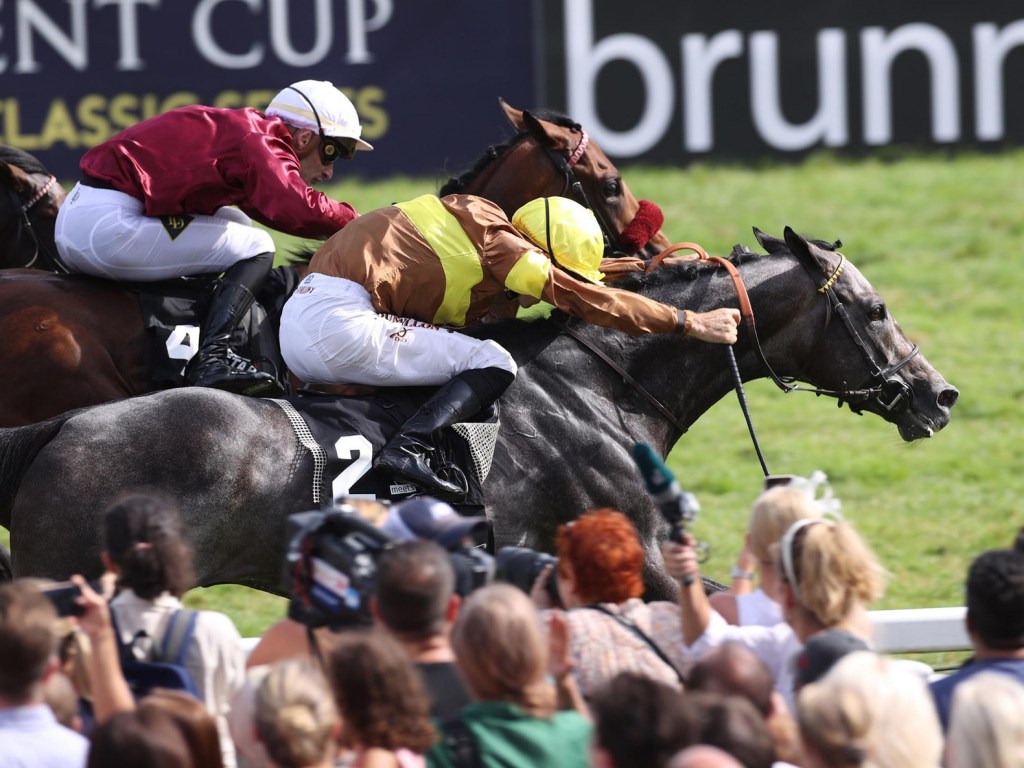 特別通知（直播、十人十色及歷史名駒系列更新）